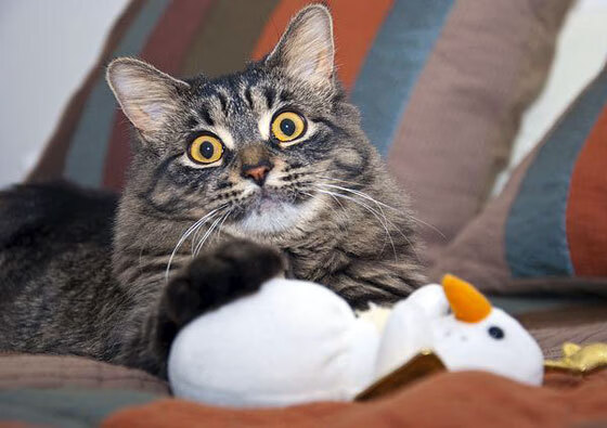 九游娱乐(jiuyou)官网-“英超逆转战：绝杀瞬间点燃现场气氛”，英超出线对阵遇c77 tv