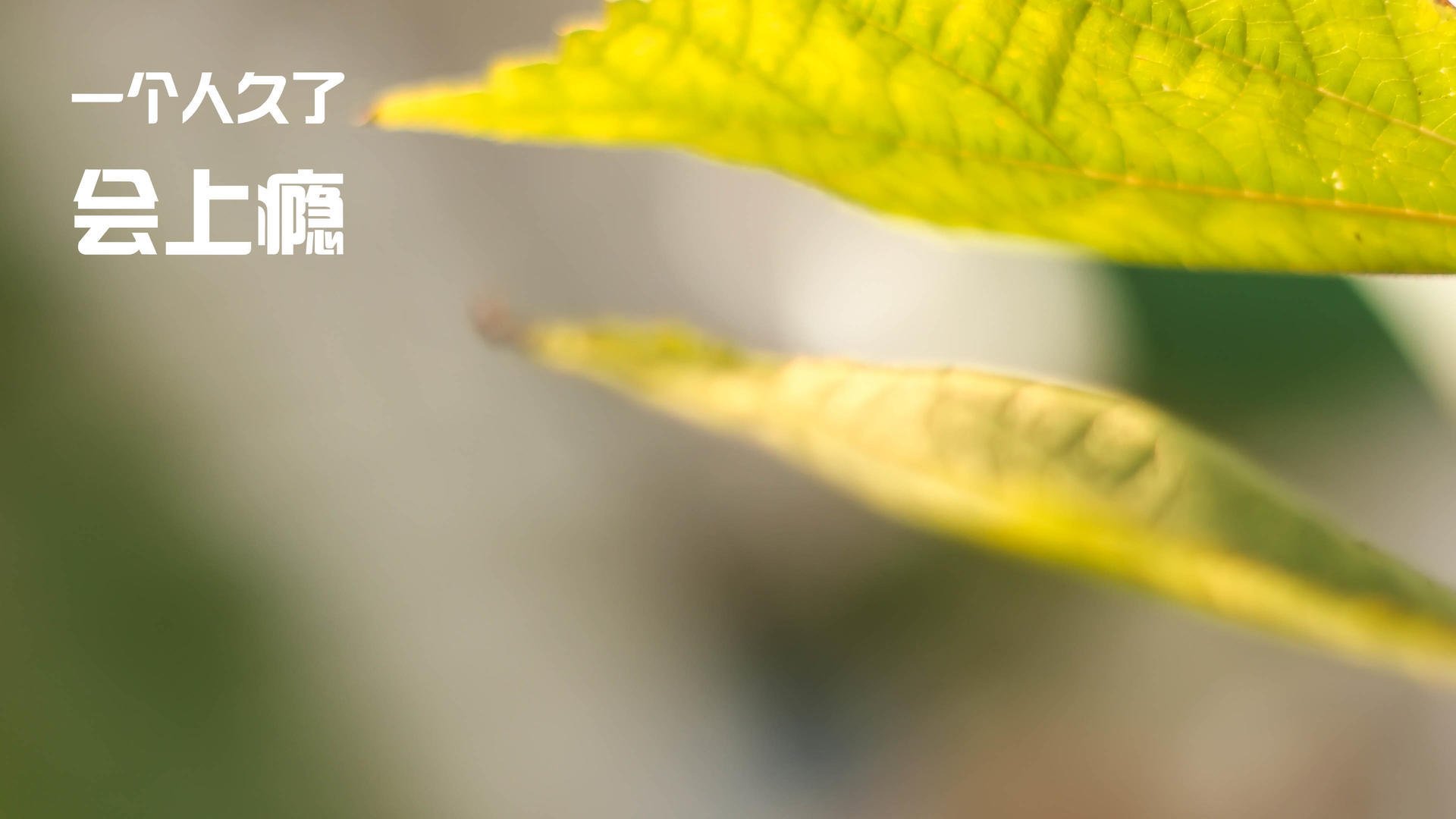 九游登录入口-【教士击败padres】泰蒂斯关键安打引爆全场