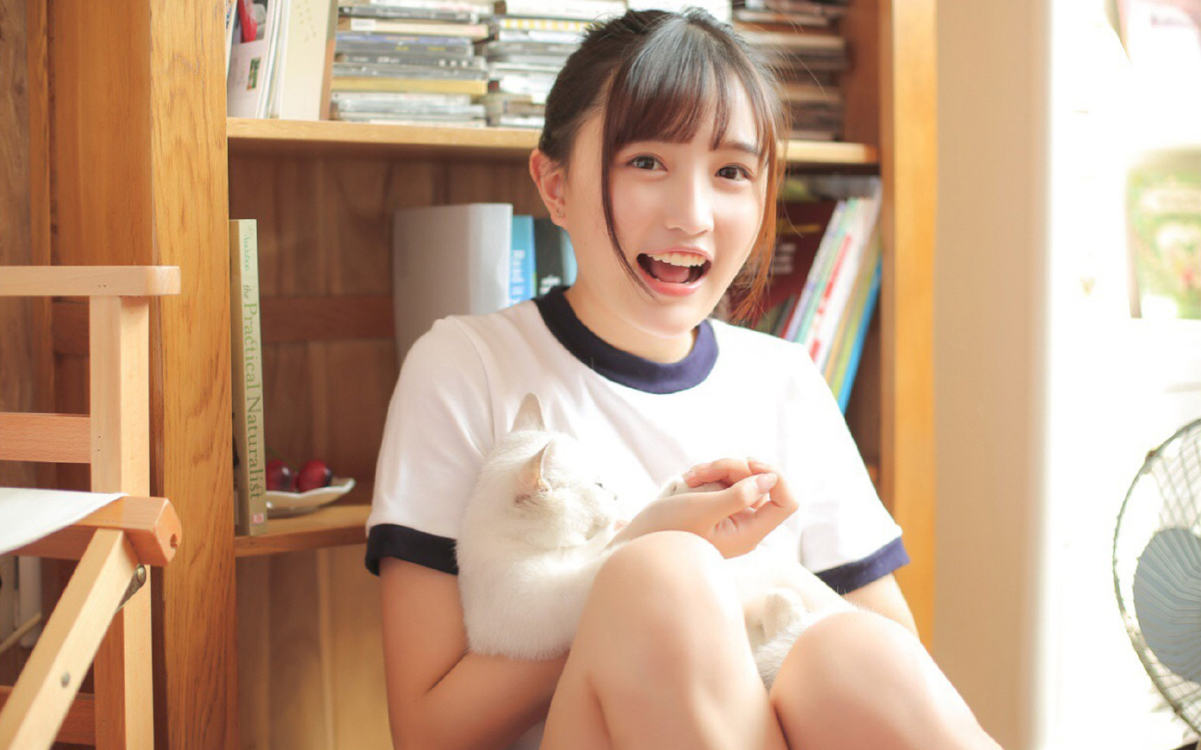 【新规则简明指南】2025年联赛变化要点总结,2020年5大联赛什么时候开始