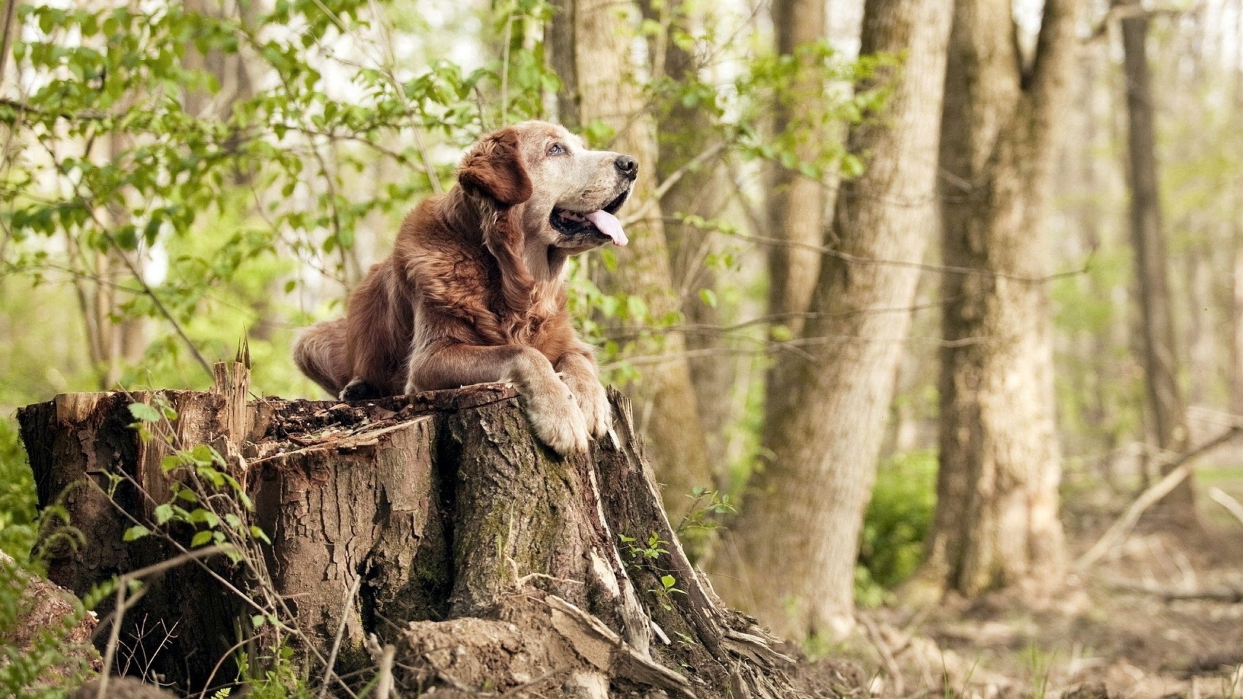 九游官网pc-最震撼人心的“超级助攻”合集，赏心悦目，30个助攻