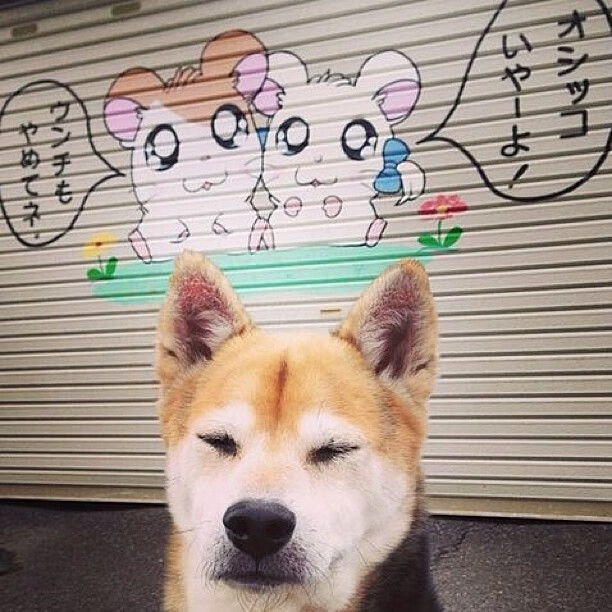 皇马韧性十足,连续逆转赢得关键比赛,皇马著名比赛