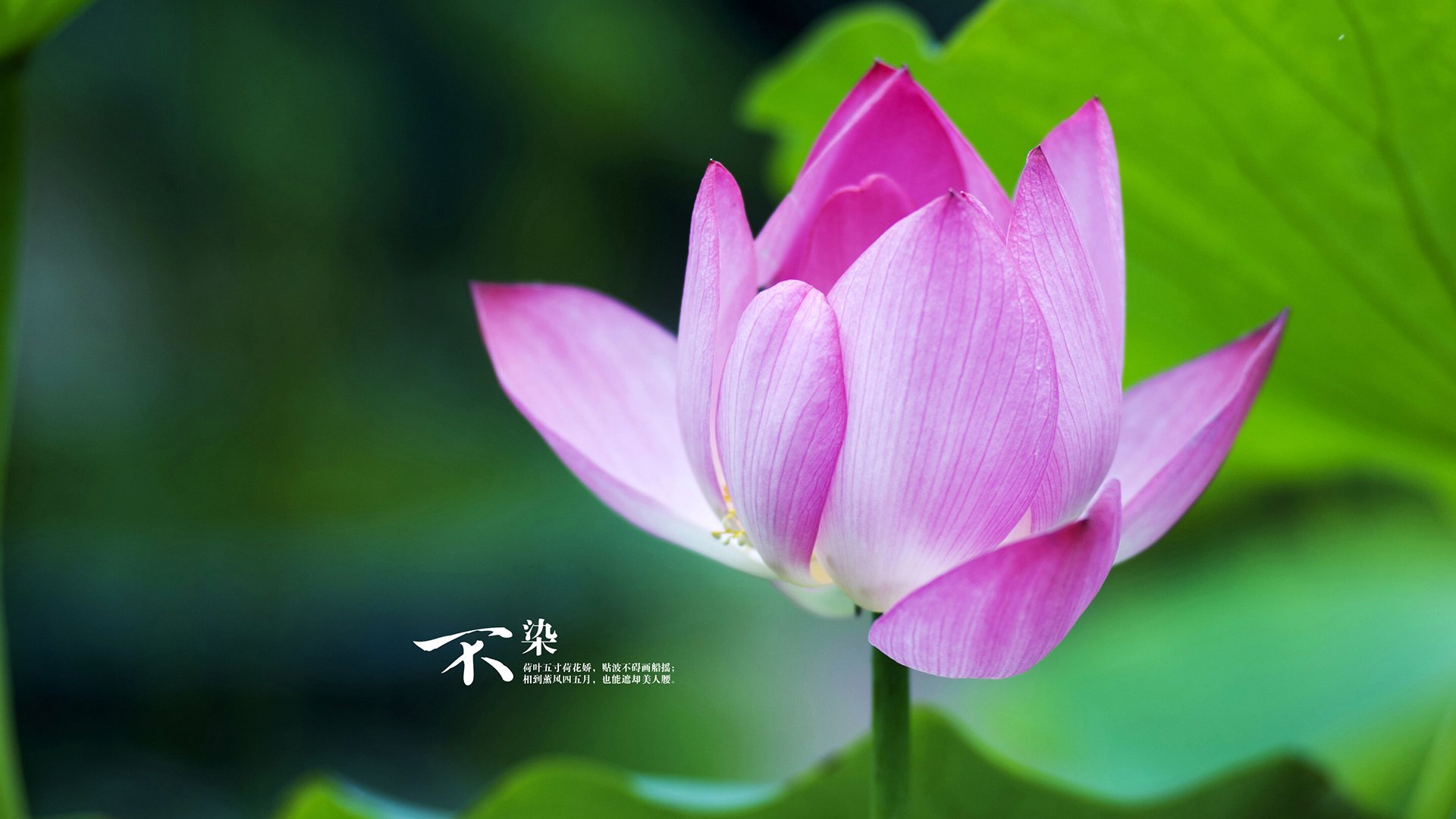 电子竞技的未来学研究:趋势预测与战略规划,电子竞技未来展望