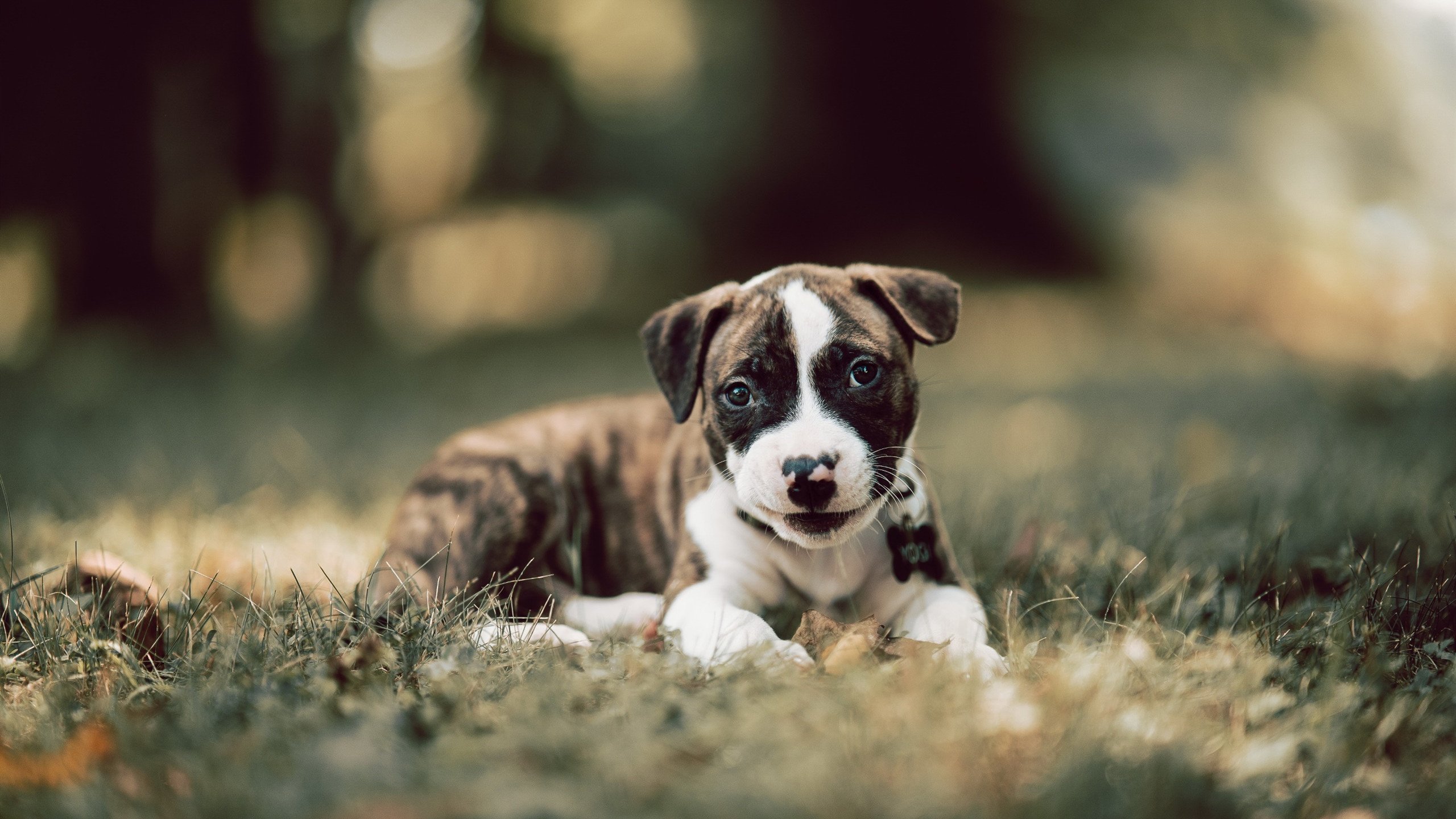 九游app下载中心-绝杀“神兵”背后隐藏的战术奥秘，绝神兵简单吗