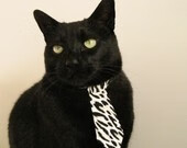 退役运动员转型创业,开启足球+科技新篇章,退役运动员现状