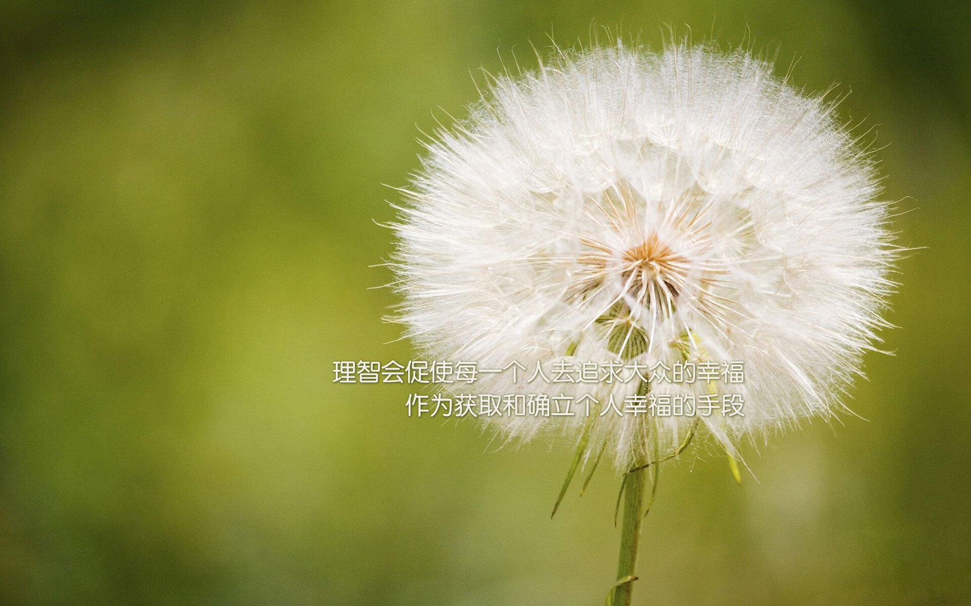 九游娱乐-青少年足球明星评选活动火热开启，激励青少年追梦绿茵场，青少年足球秀节目有哪些