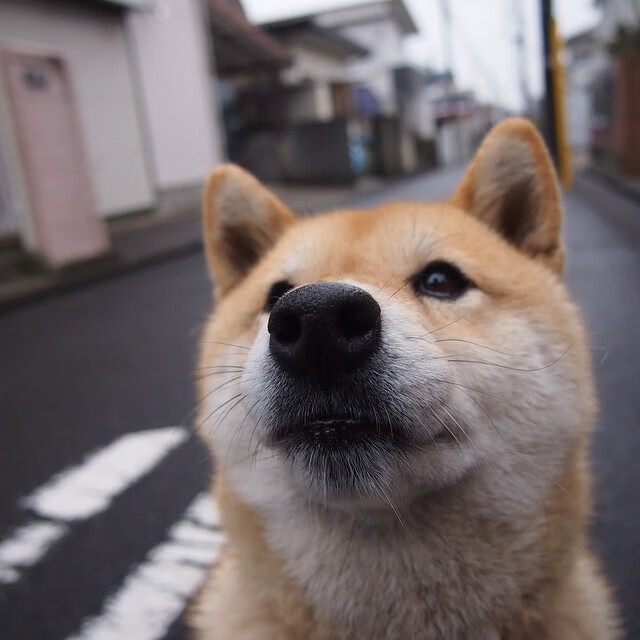 九游jiuyou-青少年足球持续火热，青训试点城市经验继续推广应用，青少年足球训练营