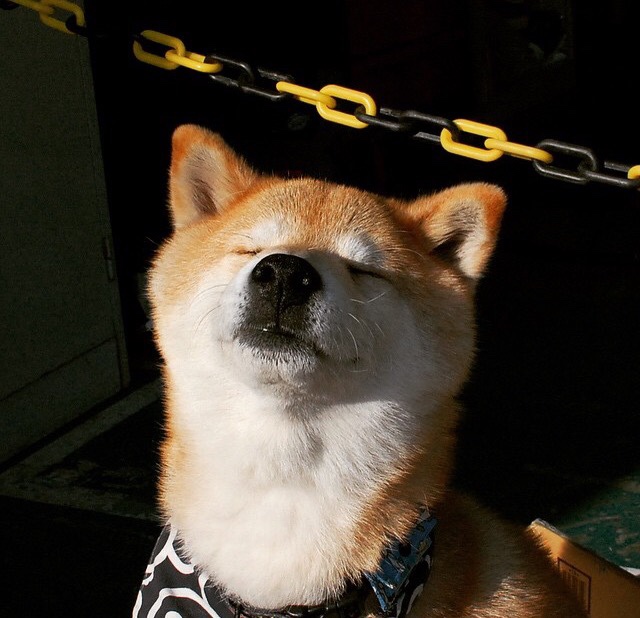 九游9游-Aster主教练专访谈未来，astralis战队教练