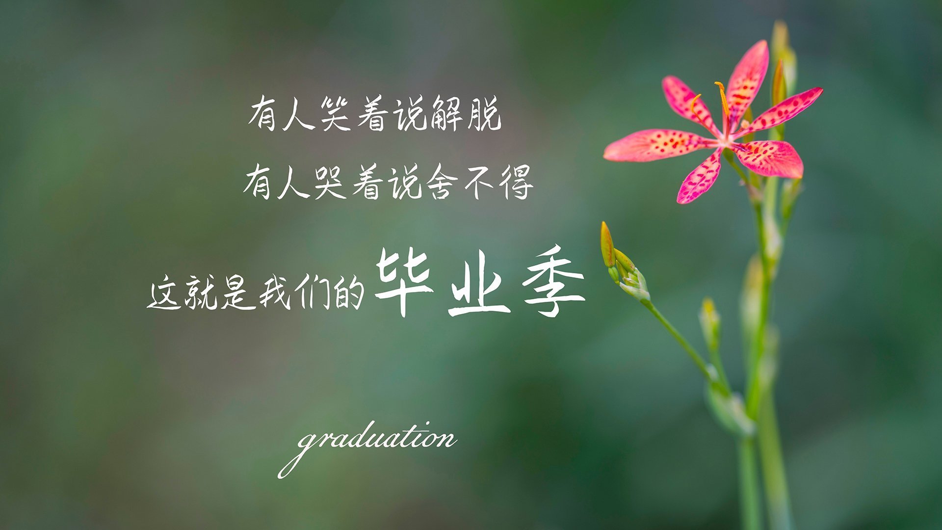 九游APP官网-LPL战队推行全员体能数据实时监控系统，lol 全体