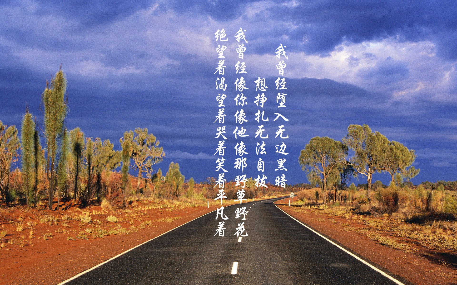 横滨水手主场大胜对手,横滨水手今天比赛