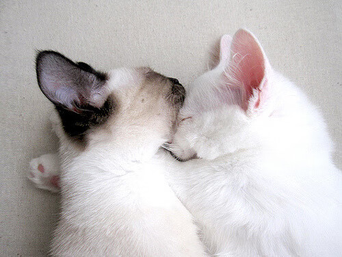 横滨水手主场大胜对手,横滨水手今天比赛