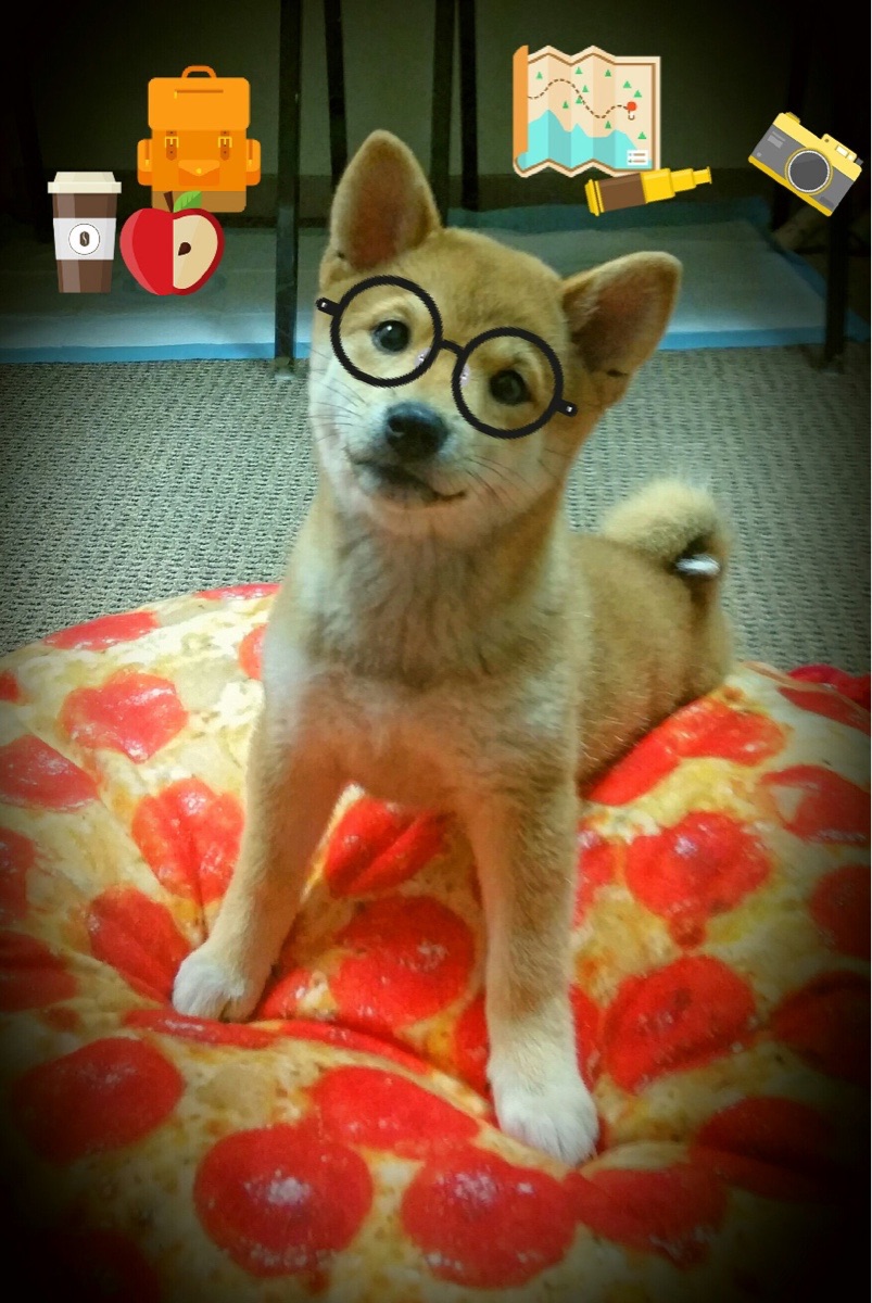 九游网页版官网-比利亚雷亚尔客场战平对手，积分略有增加，比利亚雷亚尔强吗