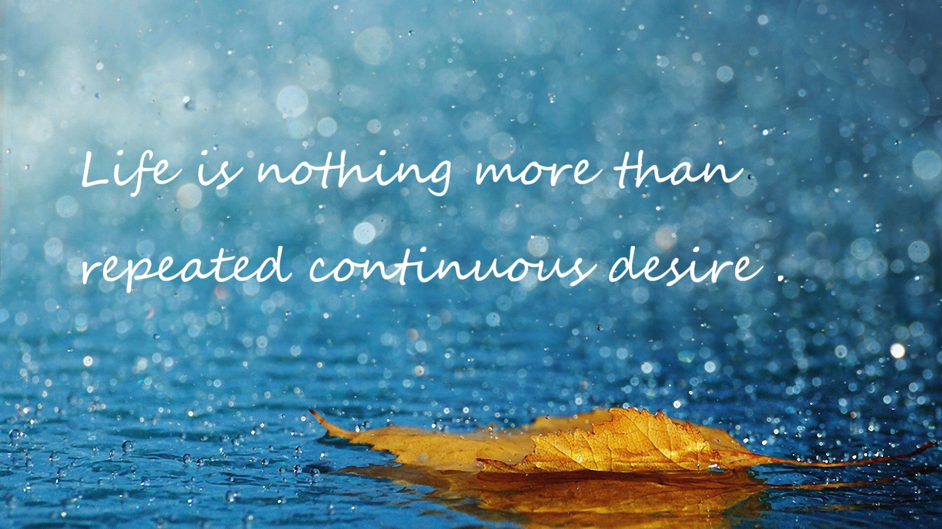 青岛黄海队员在场上奋力拼搏,展现团队精神,青岛黄海队服照片