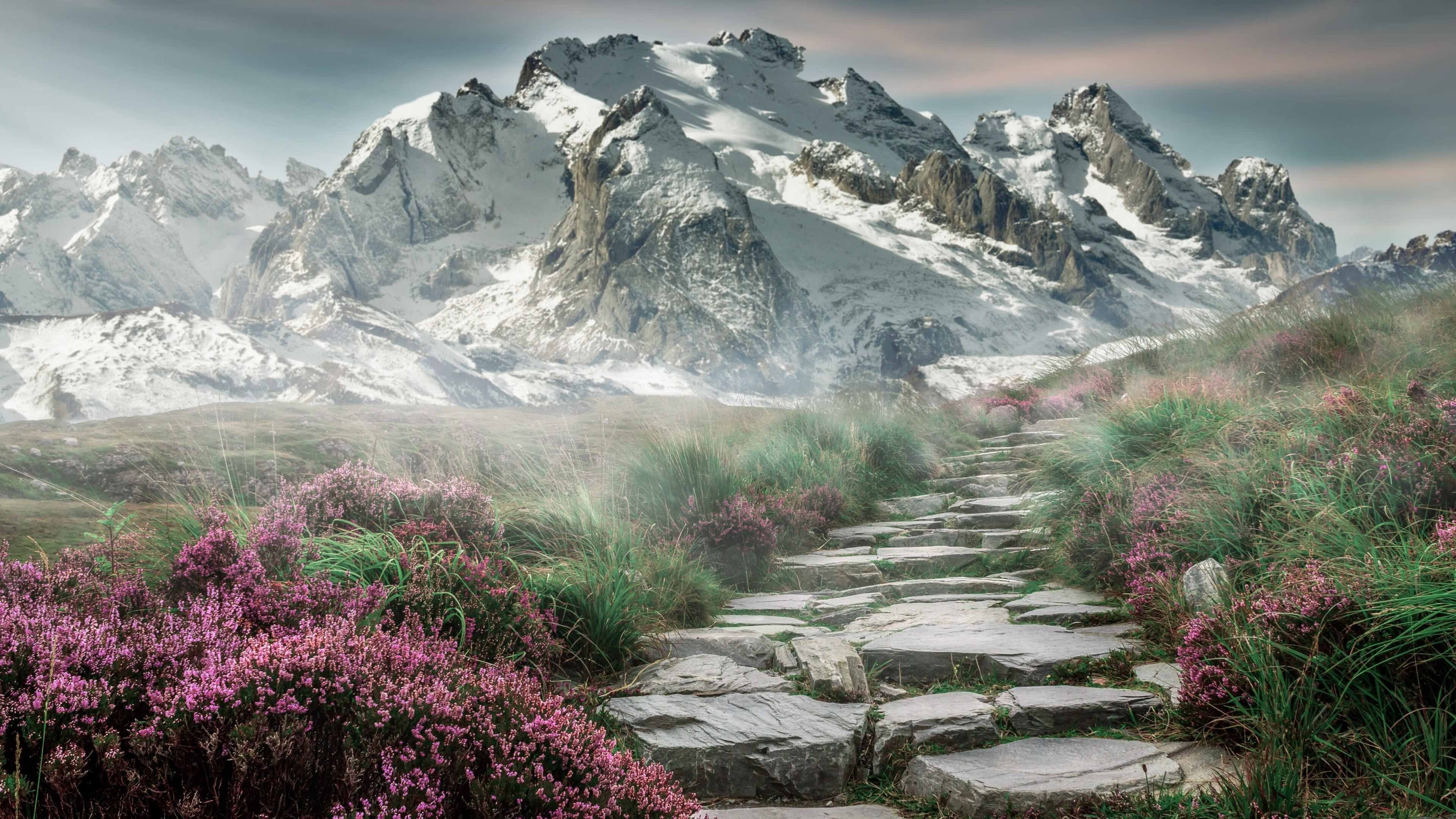 中国足球球员伤后状态恢复比对,中国足球队受伤