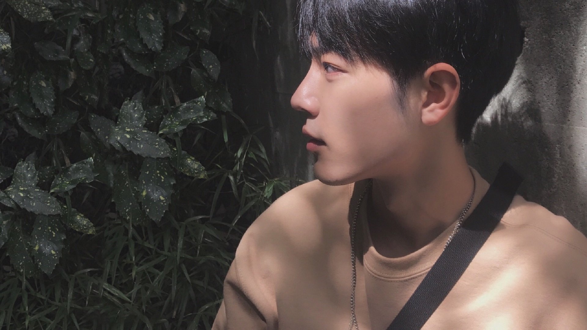 中小学体育资源共享平台运行机制与监管方案，中小学体育文件