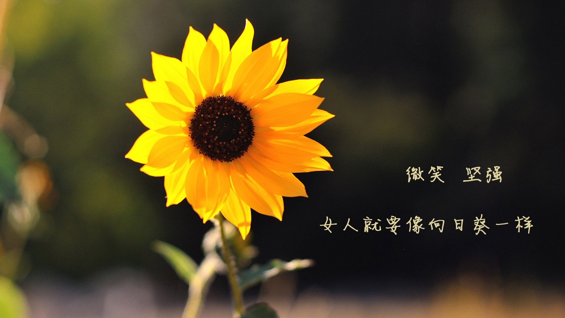 意甲年轻球员防守意识发展趋势研究，意甲最年轻进球