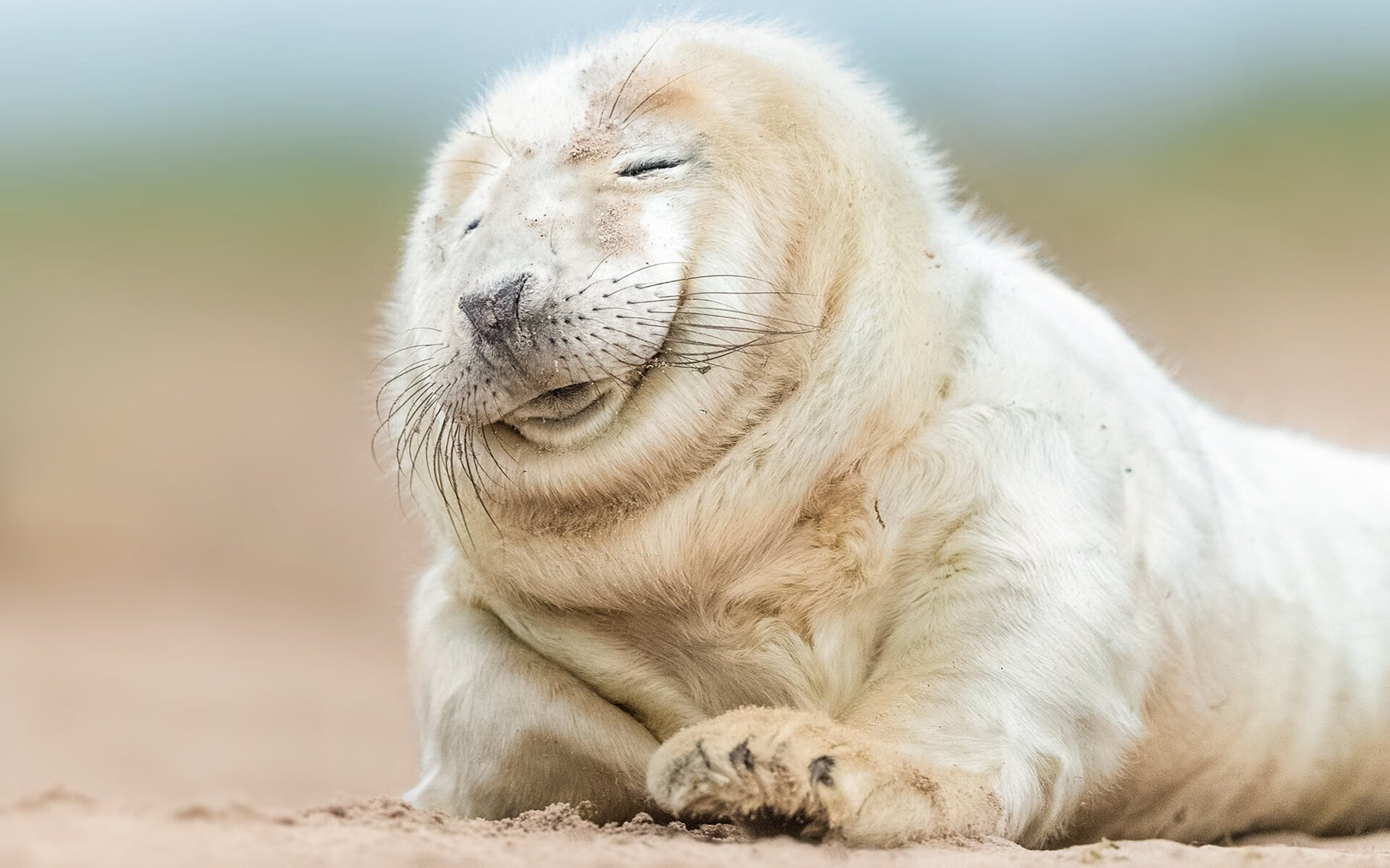 “三叉湖飞盘赛：挑战精准与速度，竞技新高峰”