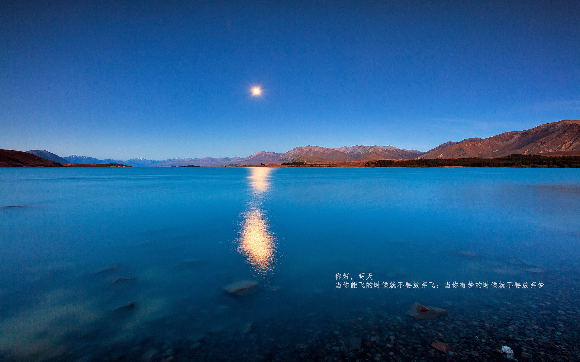 新加坡队赛制研究:如何通过合理赛制布局减少比赛中的失误,新加坡小组赛