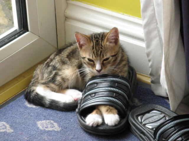 东契奇表示保持侵略性是赢球关键，东契奇太牛了