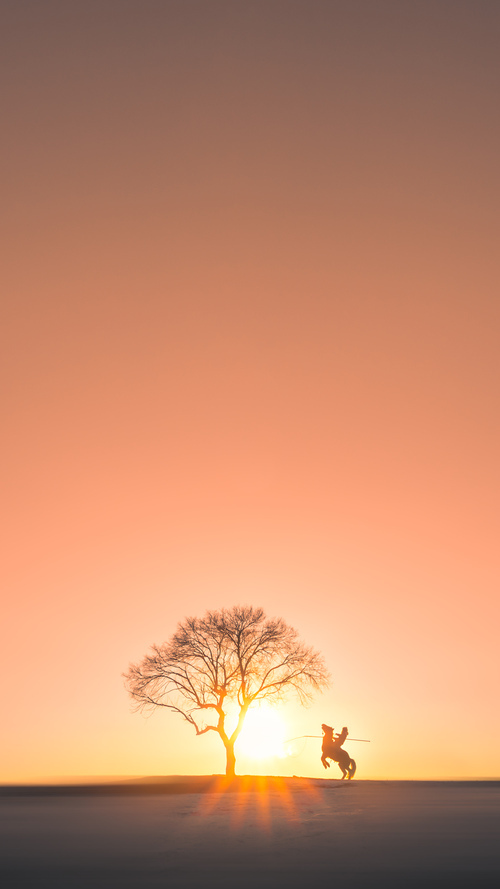 中学篮球教练团队专业化建设促进教学水平提升,篮球教练的教学理念