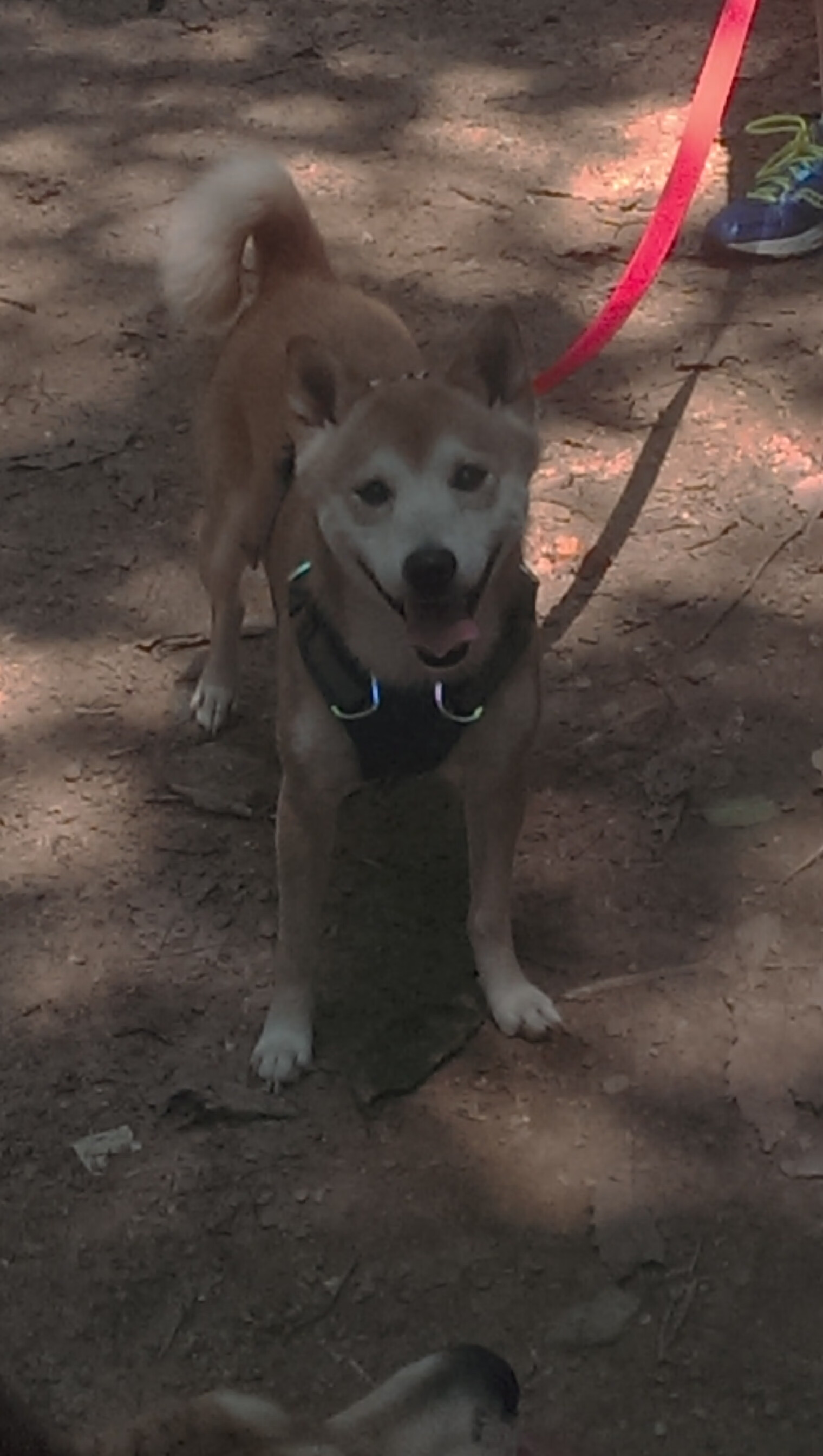 九游登录中心-女子赛事国际影响力加速提升，女子竞技比赛