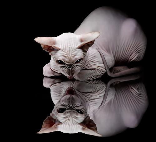 -火箭全员通过体能测试备战常规赛，火箭2021试训